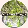 Entspannung Natur Phantasiereise - Naturklänge: Besänftigende Spa Musik und Zen Melodien zum Entspannen und Beruhigen